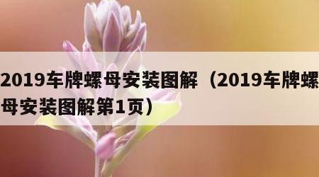 2019车牌螺母安装图解（2019车牌螺母安装图解第1页）