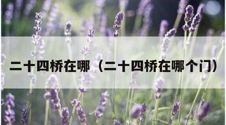 二十四桥在哪（二十四桥在哪个门）
