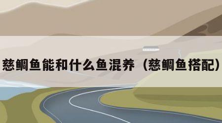 慈鲷鱼能和什么鱼混养（慈鲷鱼搭配）