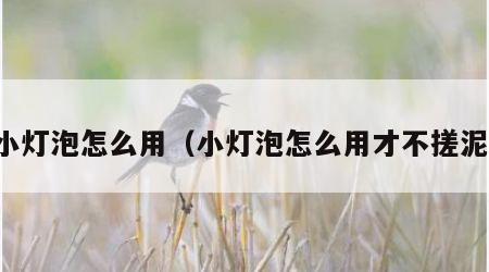 小灯泡怎么用（小灯泡怎么用才不搓泥）