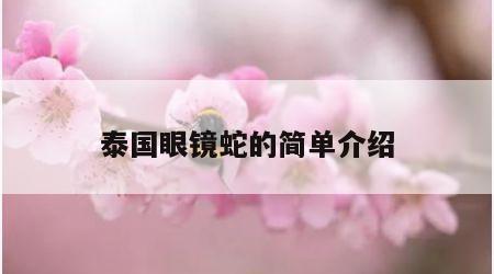 泰国眼镜蛇的简单介绍