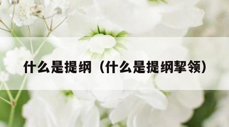 什么是提纲（什么是提纲挈领）