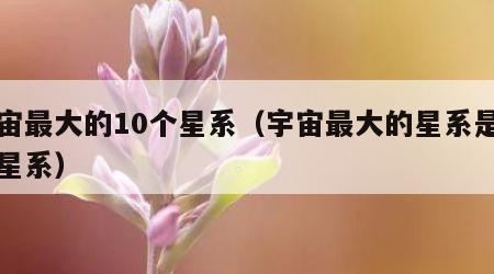宇宙最大的10个星系（宇宙最大的星系是哪个星系）