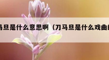 刀马旦是什么意思啊（刀马旦是什么戏曲的角色）