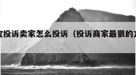淘宝投诉卖家怎么投诉（投诉商家最狠的方法）