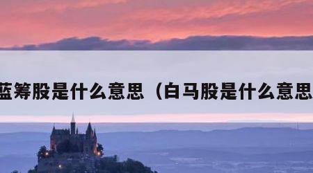 蓝筹股是什么意思（白马股是什么意思）