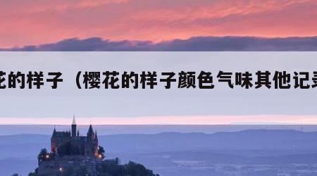 樱花的样子（樱花的样子颜色气味其他记录卡）