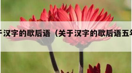关于汉字的歇后语（关于汉字的歇后语五年级）