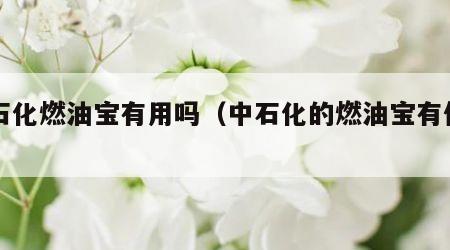 中石化燃油宝有用吗（中石化的燃油宝有作用吗）