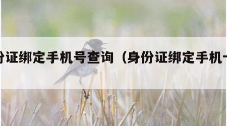 身份证绑定手机号查询（身份证绑定手机卡查询）