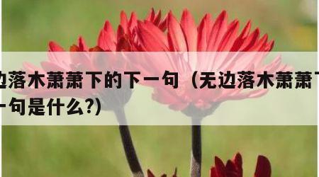 无边落木萧萧下的下一句（无边落木萧萧下的下一句是什么?）