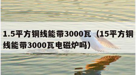 1.5平方铜线能带3000瓦（15平方铜线能带3000瓦电磁炉吗）