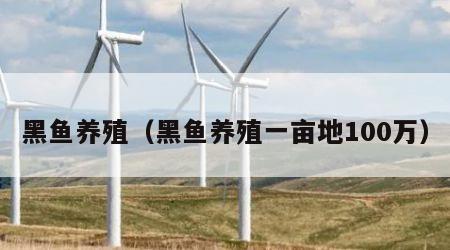 黑鱼养殖（黑鱼养殖一亩地100万）