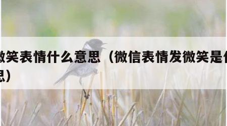 发微笑表情什么意思（微信表情发微笑是什么意思）