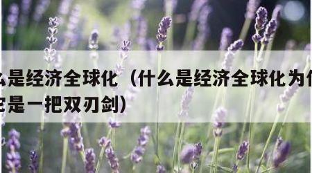 什么是经济全球化（什么是经济全球化为什么说它是一把双刃剑）