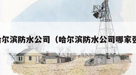 哈尔滨防水公司（哈尔滨防水公司哪家强）