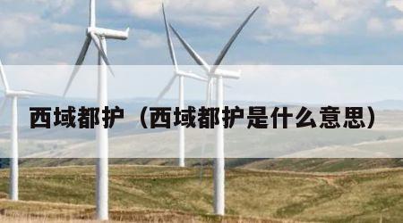西域都护（西域都护是什么意思）