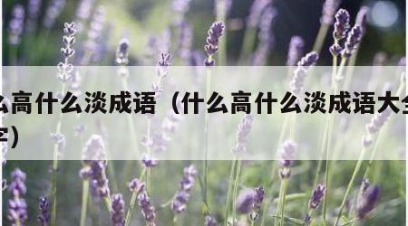 什么高什么淡成语（什么高什么淡成语大全四个字）