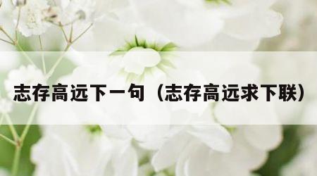 志存高远下一句（志存高远求下联）