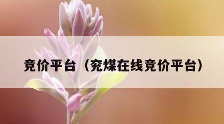 竞价平台（兖煤在线竞价平台）
