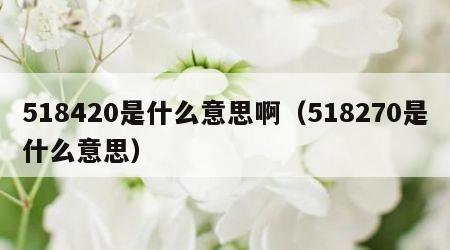 518420是什么意思啊（518270是什么意思）