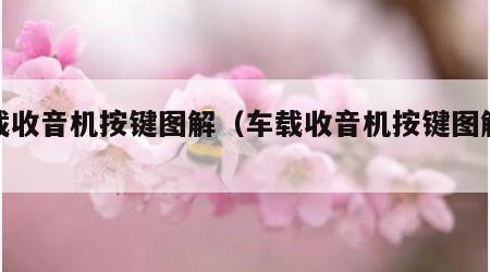 车载收音机按键图解（车载收音机按键图解大全）
