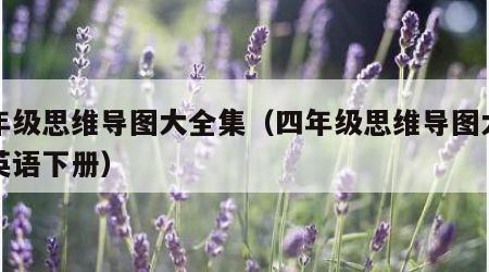 四年级思维导图大全集（四年级思维导图大全集英语下册）