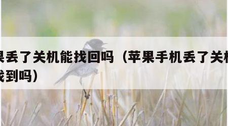 苹果丢了关机能找回吗（苹果手机丢了关机还能找到吗）
