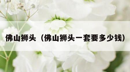 佛山狮头（佛山狮头一套要多少钱）
