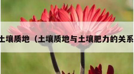 土壤质地（土壤质地与土壤肥力的关系）