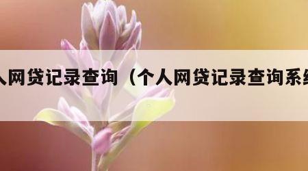 个人网贷记录查询（个人网贷记录查询系统免费）