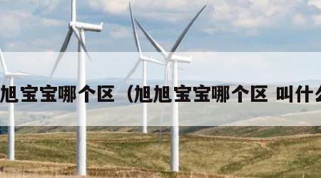 旭旭宝宝哪个区（旭旭宝宝哪个区 叫什么）