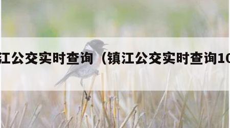 镇江公交实时查询（镇江公交实时查询10路）