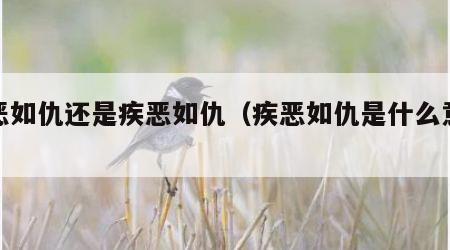 嫉恶如仇还是疾恶如仇（疾恶如仇是什么意思）