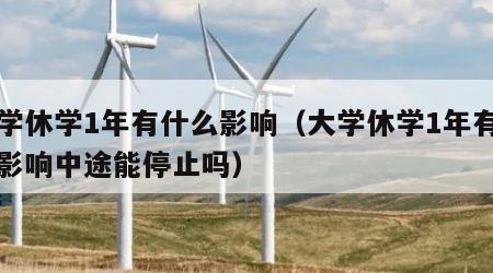 大学休学1年有什么影响（大学休学1年有什么影响中途能停止吗）