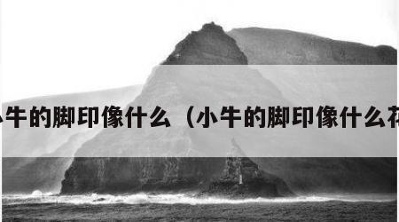 小牛的脚印像什么（小牛的脚印像什么花）
