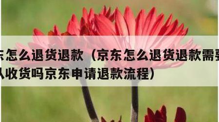 京东怎么退货退款（京东怎么退货退款需要先确认收货吗京东申请退款流程）
