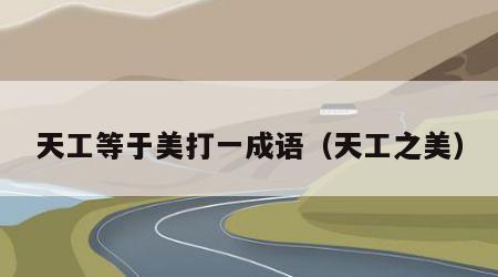 天工等于美打一成语（天工之美）
