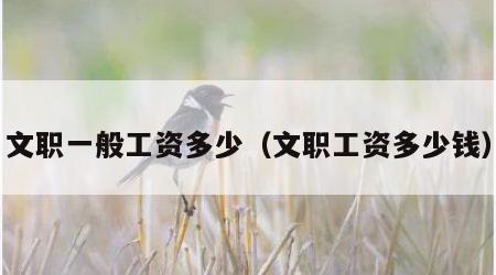文职一般工资多少（文职工资多少钱）