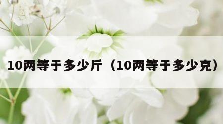 10两等于多少斤（10两等于多少克）