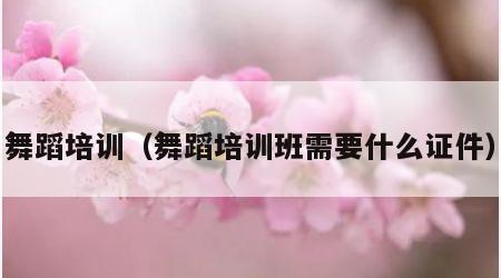 舞蹈培训（舞蹈培训班需要什么证件）