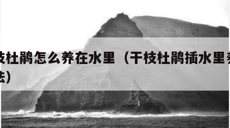 干枝杜鹃怎么养在水里（干枝杜鹃插水里养殖方法）