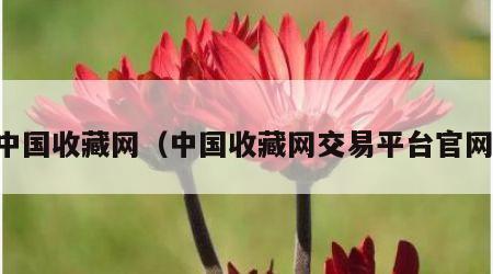 中国收藏网（中国收藏网交易平台官网）