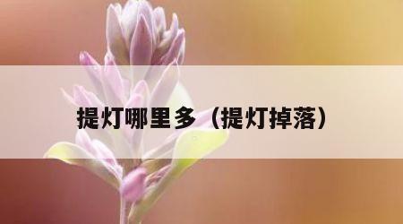 提灯哪里多（提灯掉落）