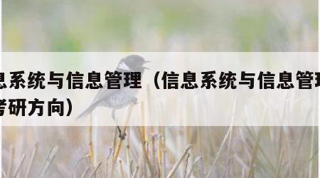信息系统与信息管理（信息系统与信息管理专业考研方向）