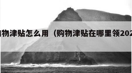购物津贴怎么用（购物津贴在哪里领2020）