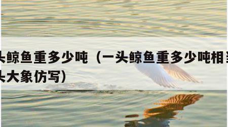 一头鲸鱼重多少吨（一头鲸鱼重多少吨相当于几头大象仿写）