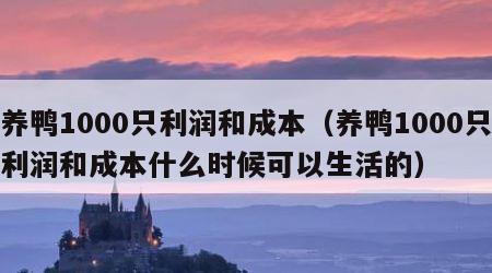 养鸭1000只利润和成本（养鸭1000只利润和成本什么时候可以生活的）