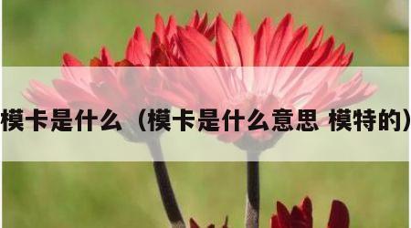 模卡是什么（模卡是什么意思 模特的）