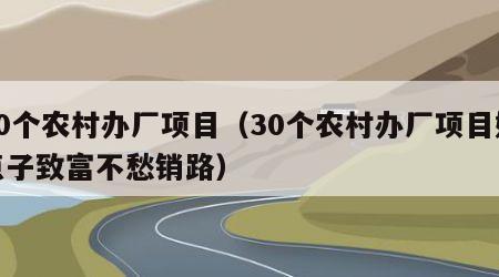 30个农村办厂项目（30个农村办厂项目好点子致富不愁销路）
